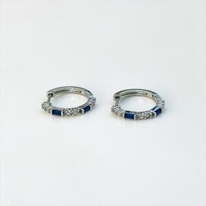 Royal Blue & Silver Round Elegant Earring